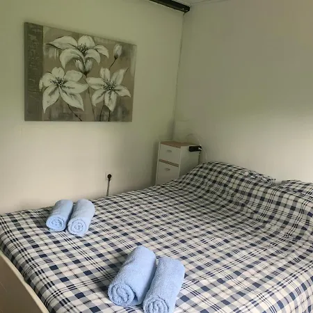 Stijn Op De Schatberg *