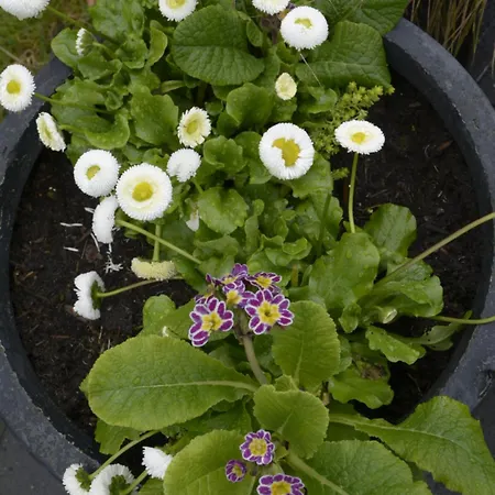 Stijn Op De Schatberg Appartamento *