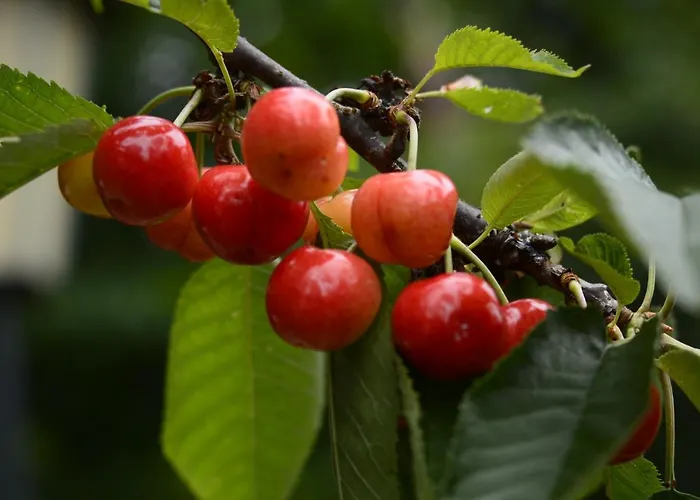 Stijn Op De Schatberg Apartamento