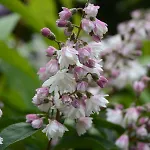 アパート Stijn Op De Schatberg セフェーヌム