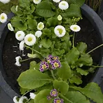 Stijn Op De Schatberg アパート *