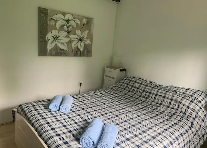 Stijn Op De Schatberg *