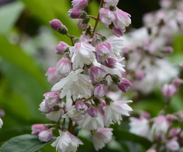 アパート Stijn Op De Schatberg セフェーヌム