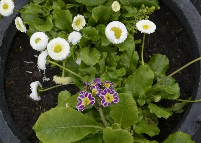 Stijn Op De Schatberg アパート *